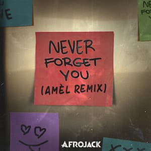 Never Forget You (Amél Remix) cover art